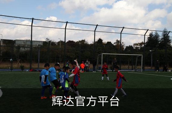 辉达官方平台概况